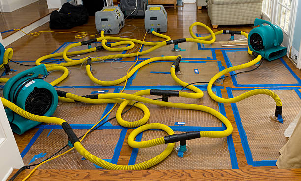 Professional Crawl Space Water Removal technician working in Newport, ME